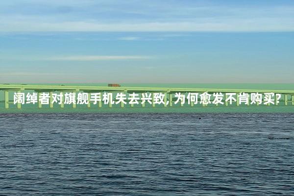 阔绰者对旗舰手机失去兴致, 为何愈发不肯购买?