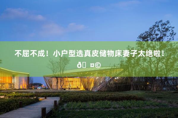 不屈不成!小户型选真皮储物床妻子太绝啦!🤩