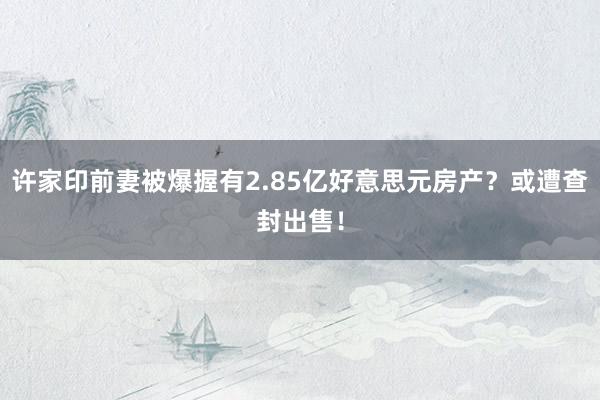 许家印前妻被爆握有2.85亿好意思元房产？或遭查封出售！