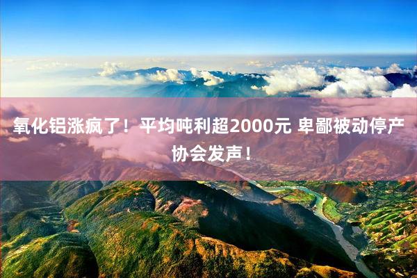 氧化铝涨疯了！平均吨利超2000元 卑鄙被动停产 协会发声！