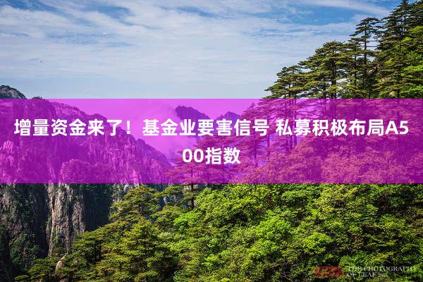 增量资金来了！基金业要害信号 私募积极布局A500指数