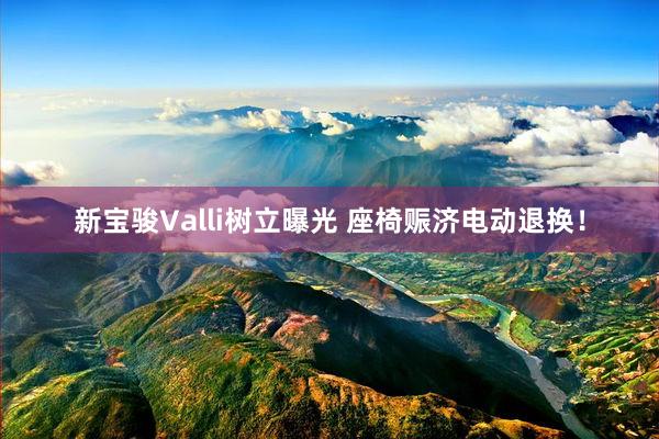 新宝骏Valli树立曝光 座椅赈济电动退换！