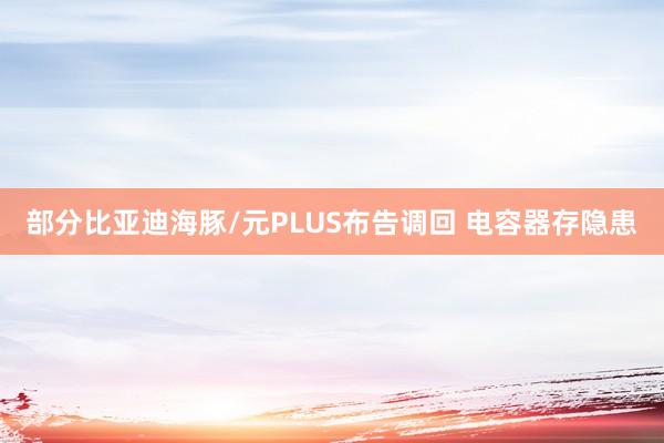部分比亚迪海豚/元PLUS布告调回 电容器存隐患