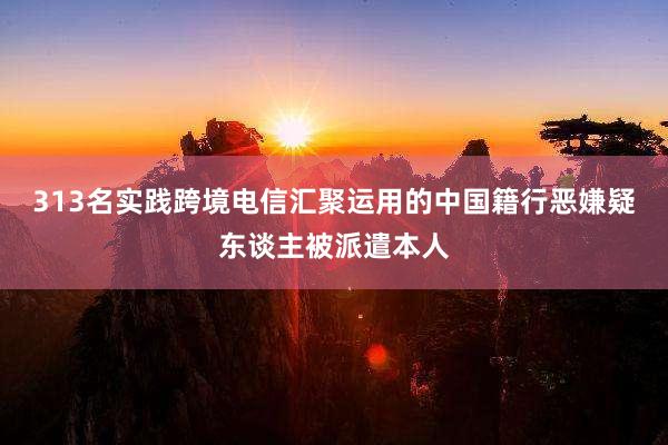 313名实践跨境电信汇聚运用的中国籍行恶嫌疑东谈主被派遣本人