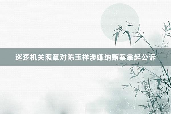 巡逻机关照章对陈玉祥涉嫌纳贿案拿起公诉