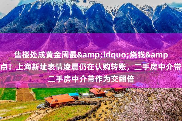 售楼处成黄金周最&ldquo;烧钱&rdquo;景点！上海新址表情凌晨仍在认购转账，二手房中介带作为交翻倍