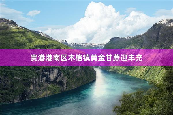 贵港港南区木格镇黄金甘蔗迎丰充