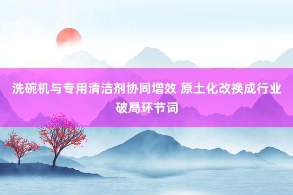 洗碗机与专用清洁剂协同增效 原土化改换成行业破局环节词